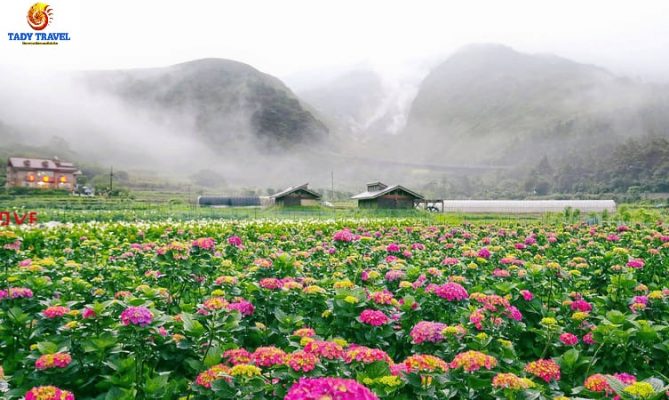 top-10-diem-den-noi-tieng-nhat-o-dai-loan5